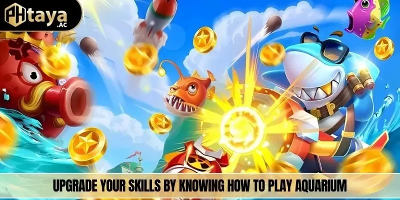 Upgrade your skills by knowing how to play Aquarium