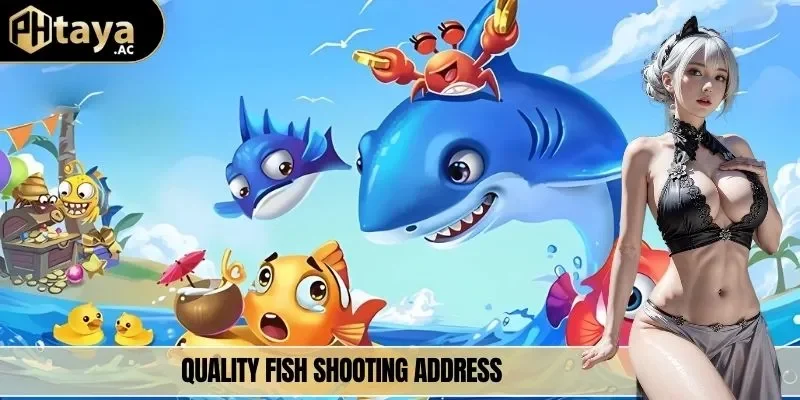 Quality fish shooting address